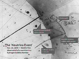 Security Report: Neutrino EK